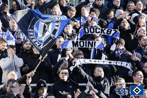 SV Darmstadt 98 vs Hamburger SV (2-2) (2)