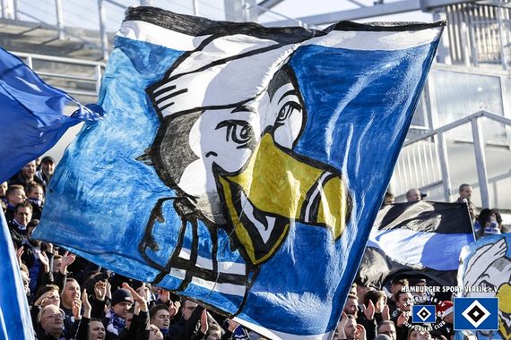 SV Darmstadt 98 vs Hamburger SV (2-2) (3)