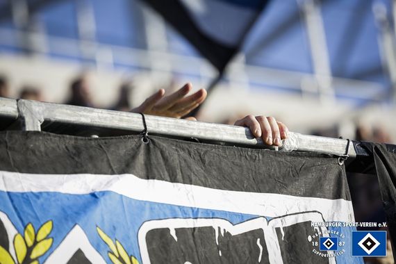 SV Darmstadt 98 vs Hamburger SV (2-2) (19)