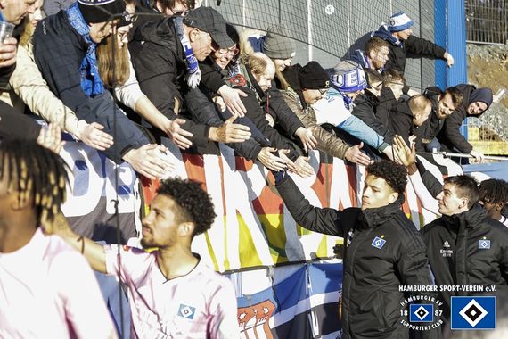 SV Darmstadt 98 vs Hamburger SV (2-2) (28)