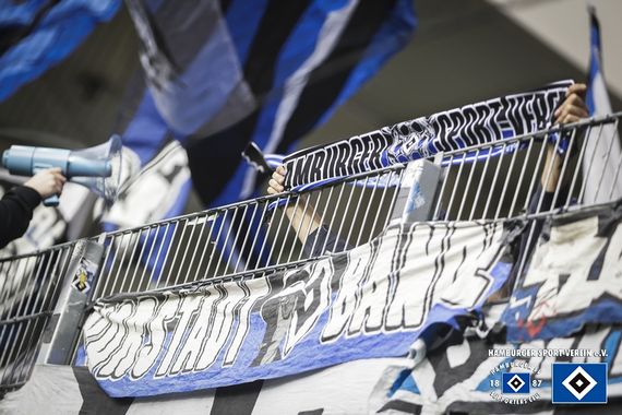 FC Erzgebirge Aue vs Hamburger SV (3-0) (2)