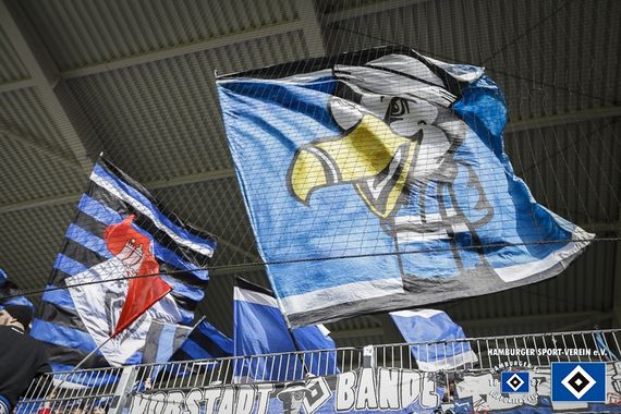 FC Erzgebirge Aue vs Hamburger SV (3-0) (24)