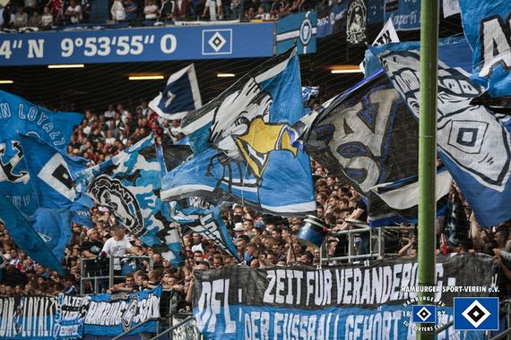 Hamburger SV vs VfL Bochum (1-0) (4)