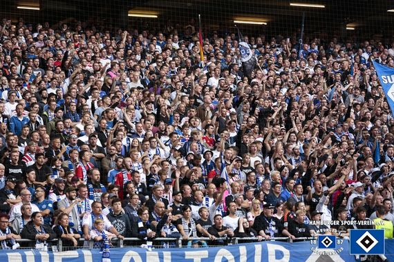 Hamburger SV vs VfL Bochum (1-0) (8)