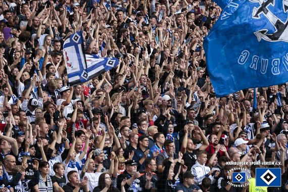 Hamburger SV vs VfL Bochum (1-0) (10)