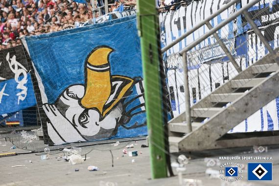 Hamburger SV vs VfL Bochum (1-0) (17)