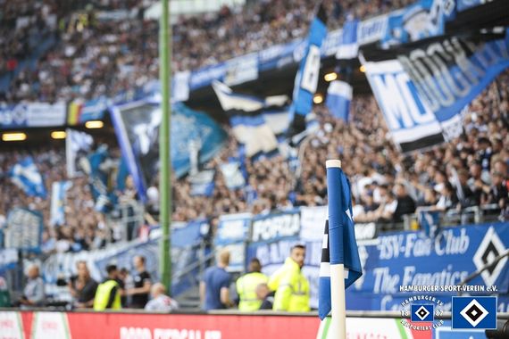 Hamburger SV vs VfL Bochum (1-0) (21)