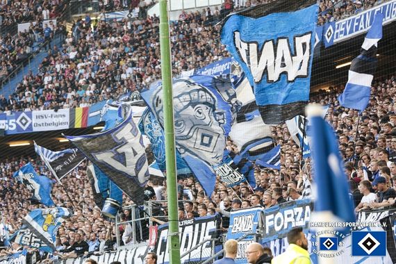 Hamburger SV vs VfL Bochum (1-0) (23)