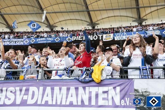 Hamburger SV vs VfL Bochum (1-0) (27)
