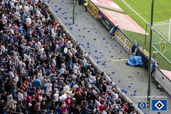 Hamburger SV vs Hannover 96 (3-0) (14)