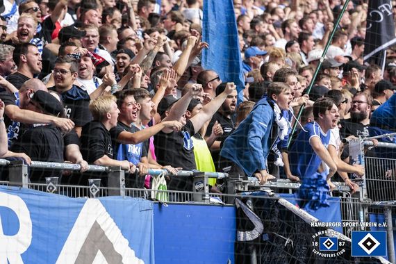 Hamburger SV vs Hannover 96 (3-0) (23)