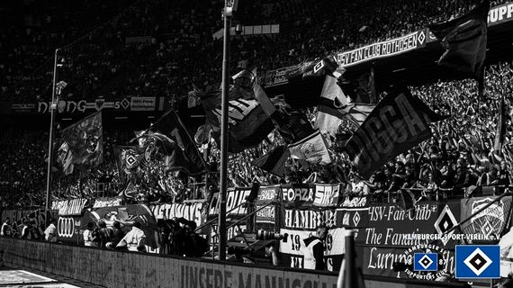 Hamburger SV vs Hannover 96 (3-0) (26)