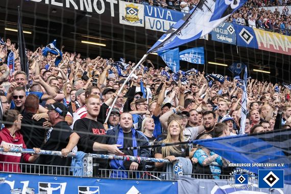 Hamburger SV vs Hannover 96 (3-0) (34)