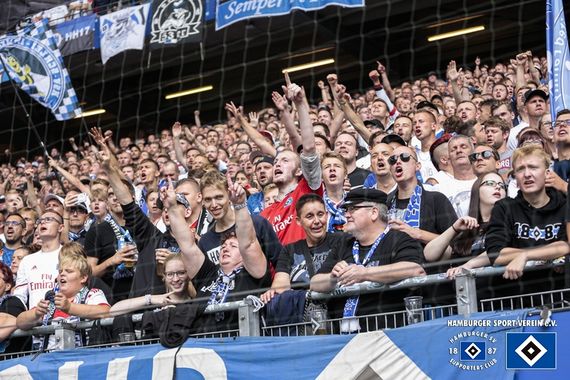 Hamburger SV vs Hannover 96 (3-0) (35)