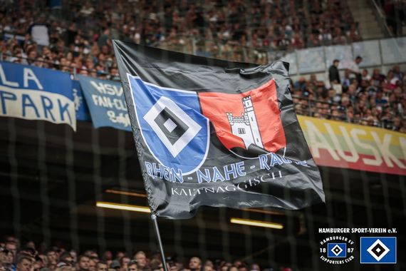 Hamburger SV vs Hannover 96 (3-0) (47)