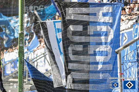 Hamburger SV vs FC Erzgebirge Aue (4-0) (9)