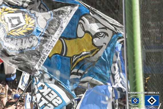 Hamburger SV vs FC Erzgebirge Aue (4-0) (11)