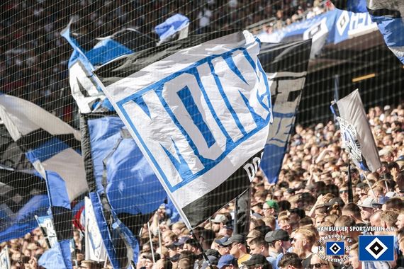 Hamburger SV vs FC Erzgebirge Aue (4-0) (19)