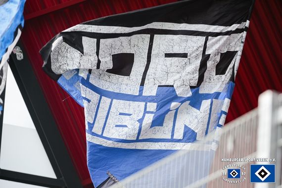 SSV Jahn Regensburg vs Hamburger SV (2-2) (18)