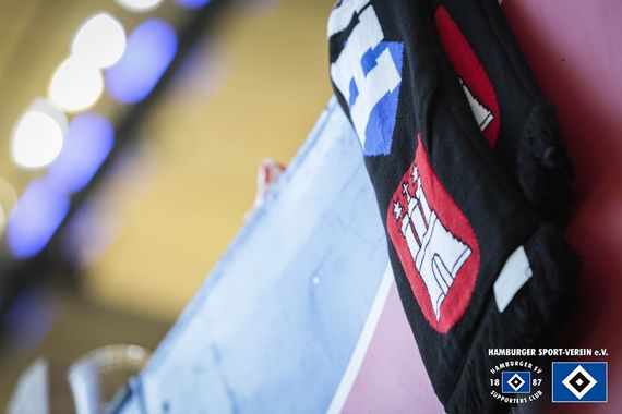 Hamburger SV vs SpVgg Fürth (2-0) (18)