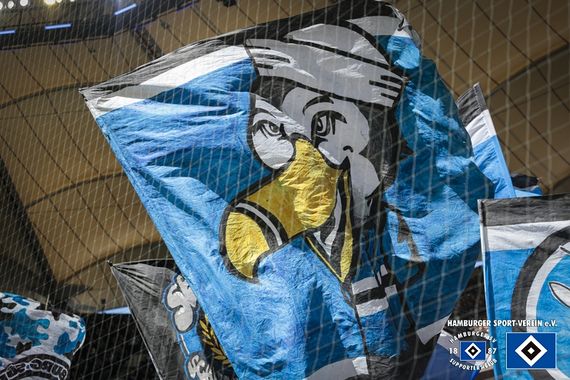 Hamburger SV vs SpVgg Fürth (2-0) (22)