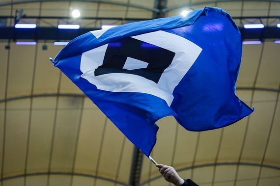 Hamburger SV vs FC Ingolstadt 04 (3-0) (1)