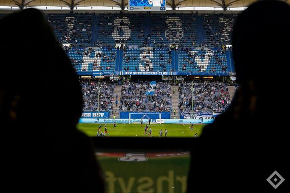 Hamburger SV vs SV Darmstadt 98 (2-2) (2)