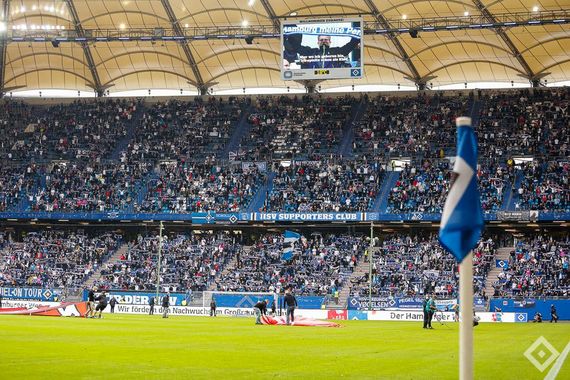 Hamburger SV vs SV Darmstadt 98 (2-2) (5)