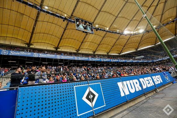 Hamburger SV vs SV Darmstadt 98 (2-2) (14)