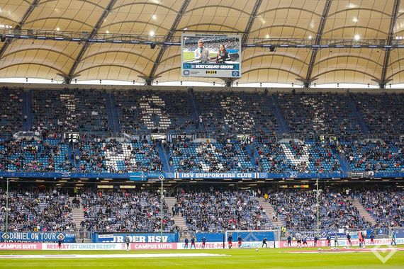 Hamburger SV vs SV Darmstadt 98 (2-2) (15)