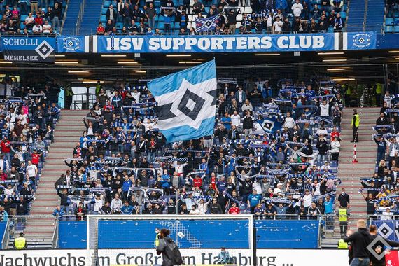 Hamburger SV vs SV Darmstadt 98 (2-2) (16)
