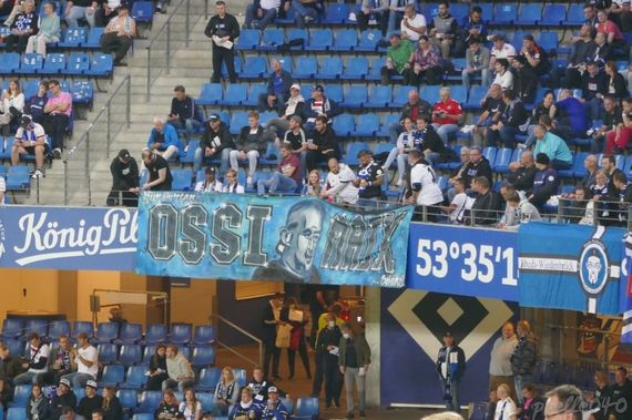 Hamburger SV vs SV Sandhausen (2-1) (12)