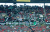 Hannover 96 vs Borussia Dortmund (1-2)