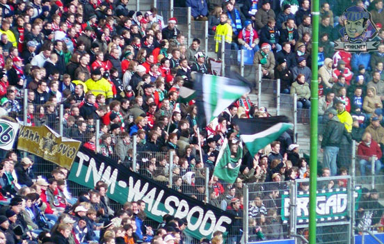 Hamburger SV vs Hannover 96 (1-1) (3)