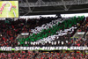 Hannover 96 vs 1. FC Nürnberg (2-1)
