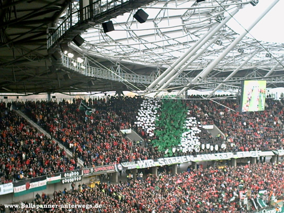 Hannover 96 vs 1. FC Nürnberg (2-1) (6)