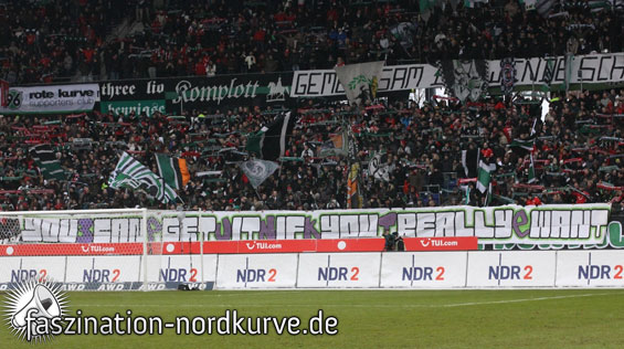 Hannover 96 vs 1. FC Nürnberg (1-3) (2)