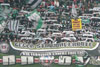 Hannover 96 vs Eintracht Frankfurt (2-1)