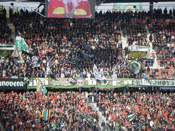 Hannover 96 vs 1. FC Köln (2-1) (1)