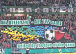 Hannover 96 vs 1. FSV Mainz 05 (0-1n.V.)
