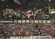 Hannover 96 vs SC Freiburg (1-2)