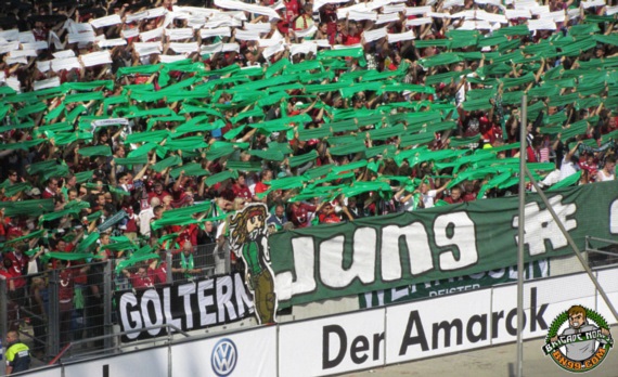 Hannover 96 vs VfL Wolfsburg (2-0) (2)