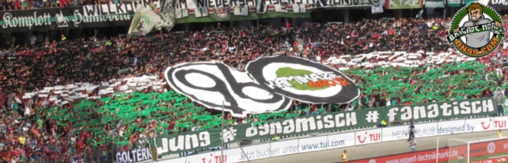 Hannover 96 vs VfL Wolfsburg (2-0) (6)