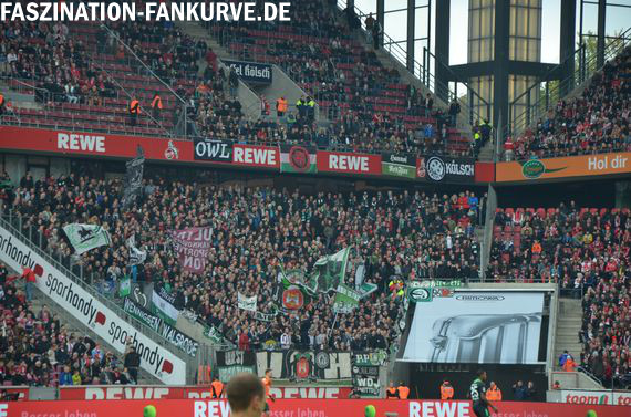 1. FC Köln vs Hannover 96 (0-1) (1)