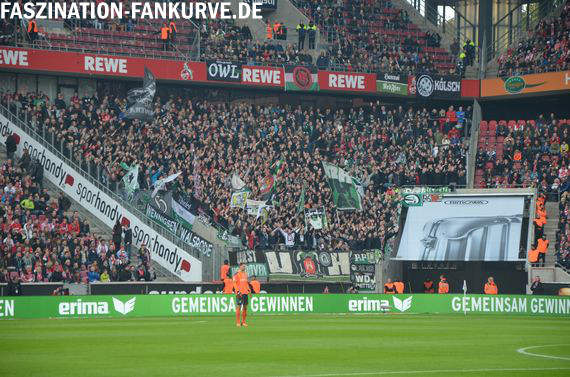 1. FC Köln vs Hannover 96 (0-1) (4)