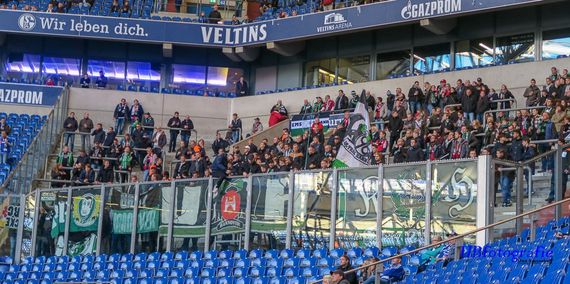 FC Schalke 04 vs Hannover 96 (3-1) (1)