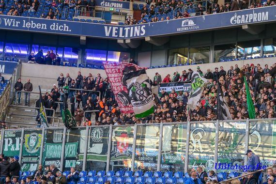 FC Schalke 04 vs Hannover 96 (3-1) (3)