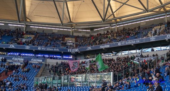 FC Schalke 04 vs Hannover 96 (3-1) (4)