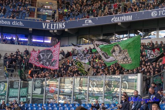 FC Schalke 04 vs Hannover 96 (3-1) (7)