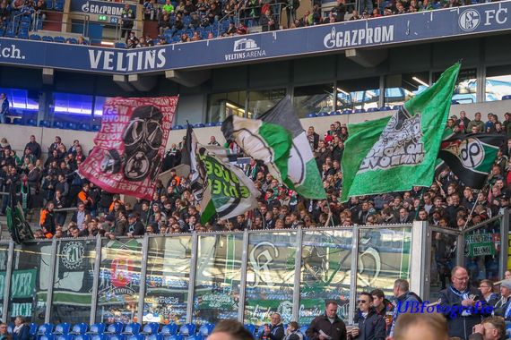 FC Schalke 04 vs Hannover 96 (3-1) (8)